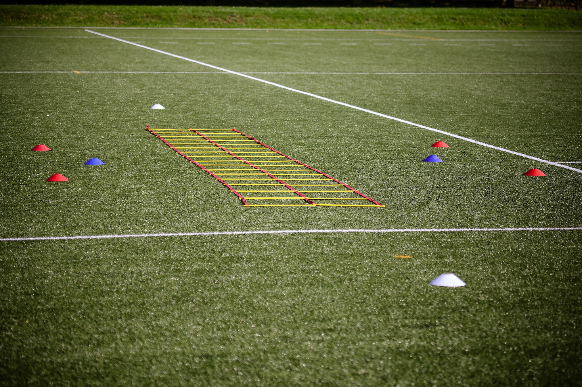 Sport-specific performance training